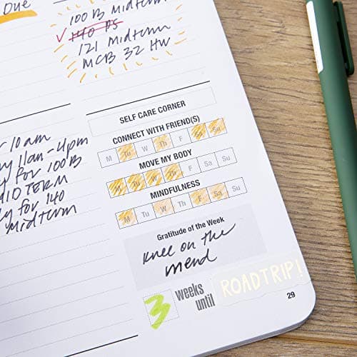 College Planner 2024-2025 for Students (Cream, Pink & Sea Foam)